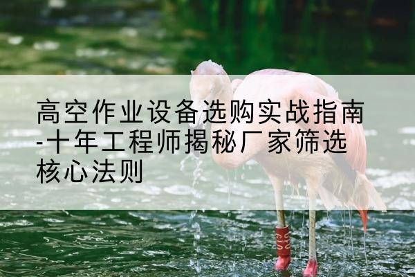 隆安剪叉式升降机厂家-高空作业设备选购实战指南-十年工程师揭秘厂家筛选核心法则