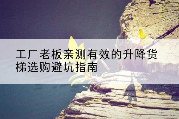 隆安升降货梯怎么选-工厂老板亲测有效的升降货梯选购避坑指南