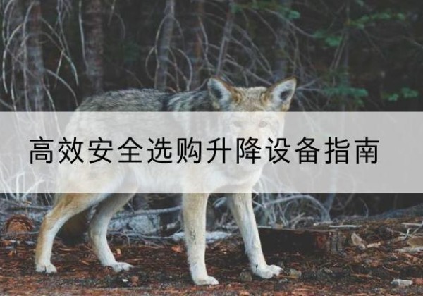 隆安升降货梯厂家推荐-*安全选购升降设备指南