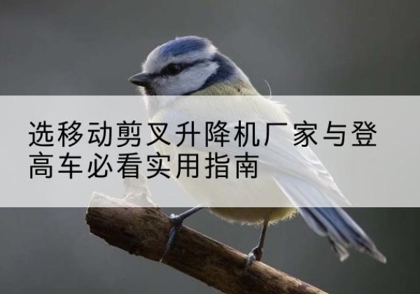 隆安电动升降机厂家-选移动剪叉升降机厂家与登高车必看实用指南