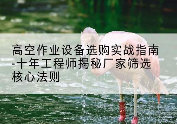 隆安剪叉式升降机厂家-高空作业设备选购实战指南-十年工程师揭秘厂家筛选核心法则