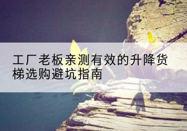 隆安升降货梯怎么选-工厂老板亲测有效的升降货梯选购避坑指南